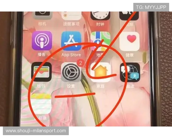 米兰体育app苹果版推送通知设置与兴趣偏好定制方法